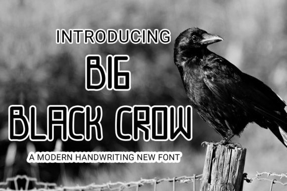 Big Black Crow Display Font for Scroll-Stopping Visuals